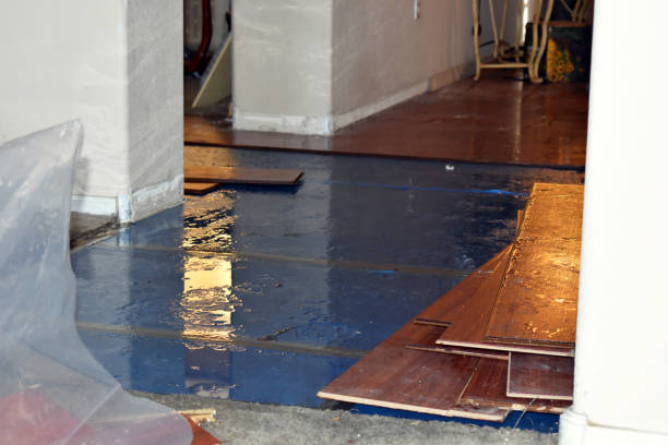 Professional Water Damage Repair technician working in Castell, TX